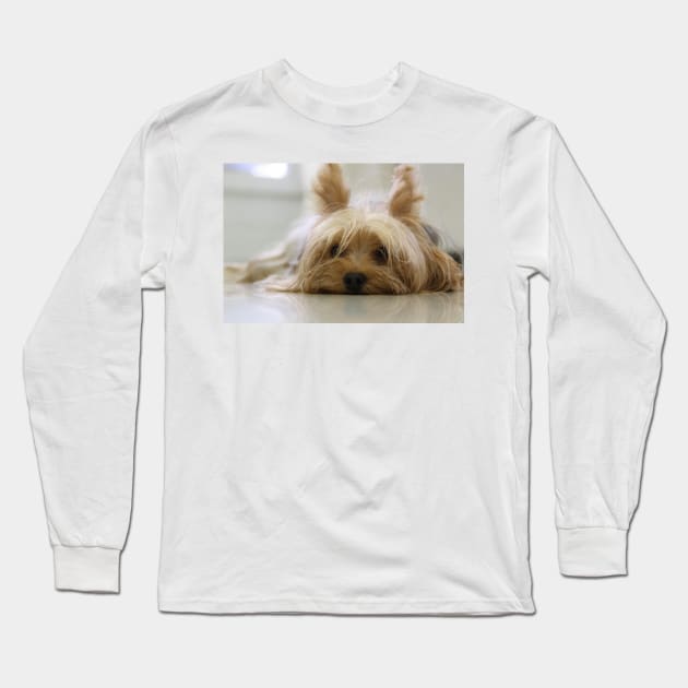 Yorkshire Terrier Laying Flat Long Sleeve T-Shirt by Wanderingangel